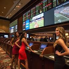 9z bet com 9z bet com